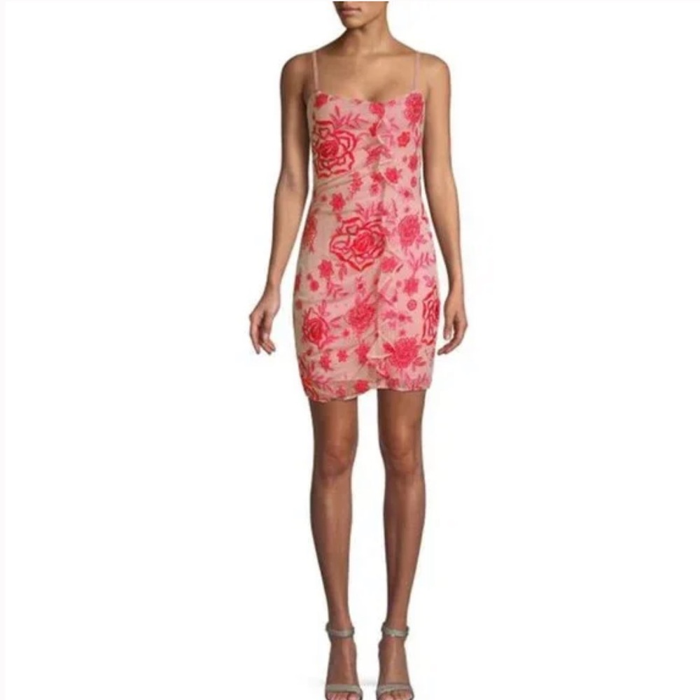 Parker Pink Embroidered Floral Appliqué Rose Lace Mini Sheer Overlay Slip Dress